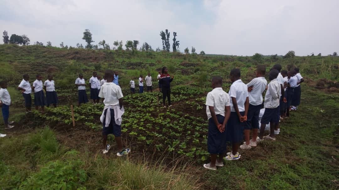 IRDR-ONG promeut l’apprentissage des techniques de culture du haricot à travers les champs écoles pour enfants à Nyiragongo